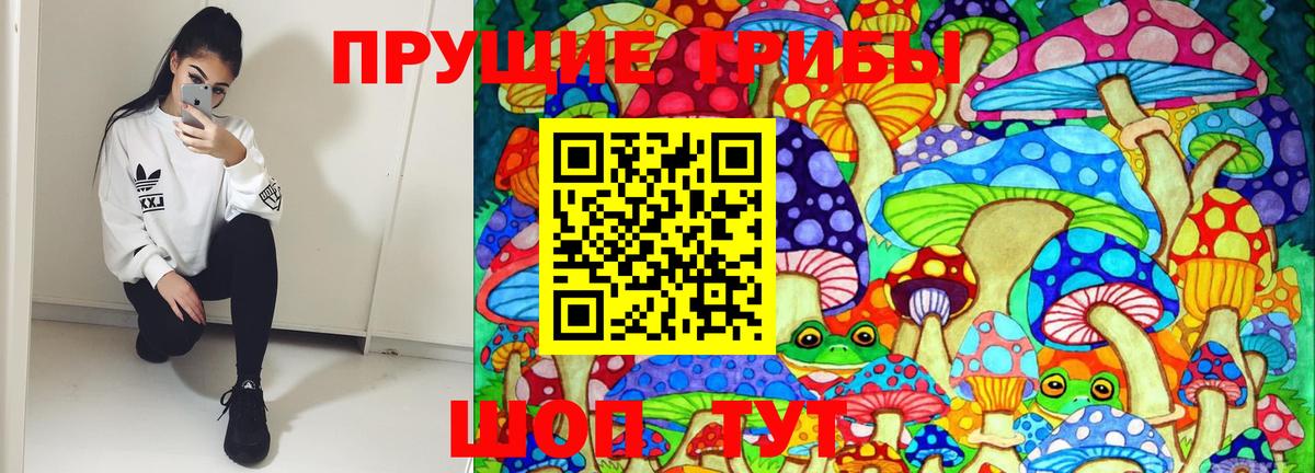Галлюциногенные грибы Cubensis  Вход с VPN  Кемерово 